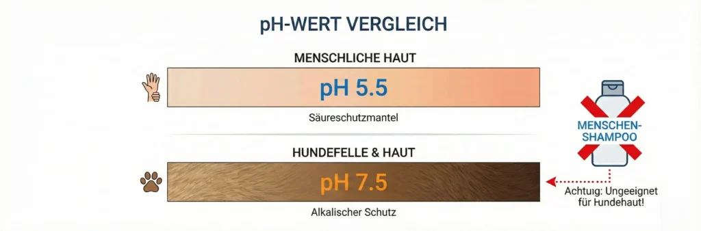 Grafik einer pH-Skala: Mensch bei 5.5 (sauer), Hund bei 7.5 (basisch). Warnsymbol bei Menschenshampoo für Hunde.