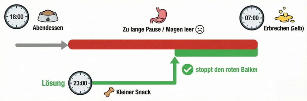 Infografik: Zeitstrahl der Fütterung. Abendessen 18 Uhr -> Lange Pause (Rot) -> Erbrechen 7 Uhr. Lösung: Snack um 23 Uhr (Grün).