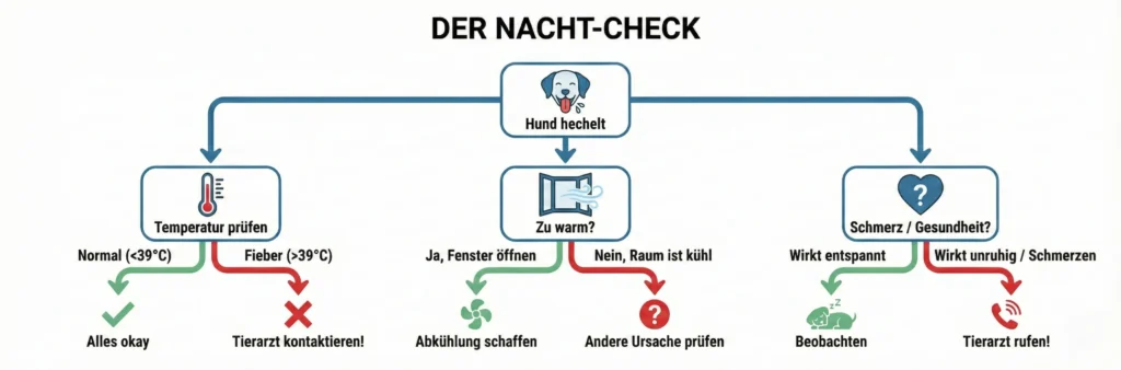 Entscheidungsbaum Grafik: Hecheln -> Träumt er? (Ja=Ruhe) -> Ist es warm? (Ja=Lüften) -> Unruhig/Schmerz? (Ja=Tierarzt).