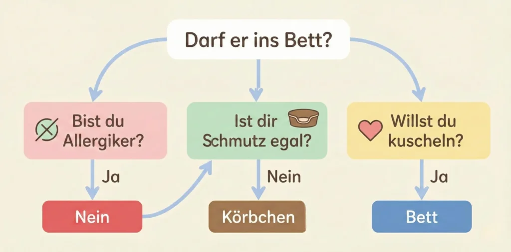 Vektor-Grafik Ja/Nein-Pfad: Fragen wie 'Habe ich Allergien?', 'Ist der Hund stubenrein?', 'Stört mich Schmutz?' führen zu Ergebnis Ja oder Nein