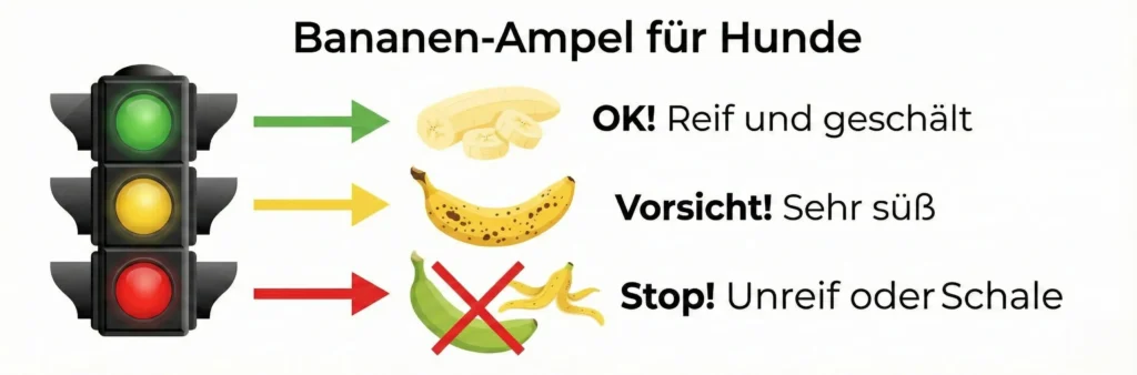 Grafik Ampel: Grün (Gelbe Banane, ohne Schale, kleine Stücke). Gelb (Braune Banane, viel Zucker). Rot (Grüne Banane, Schale, Ganze Frucht).