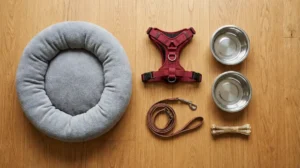 Ein ästhetisches Flatlay-Foto auf Holzboden: Ein weiches Hundebett, ein rotes Brustgeschirr, eine Leine, zwei Edelstahlnäpfe und ein Kauknochen liegen bereit